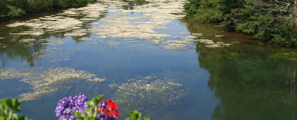 Le Loiret, vu du Pont St Nicolas