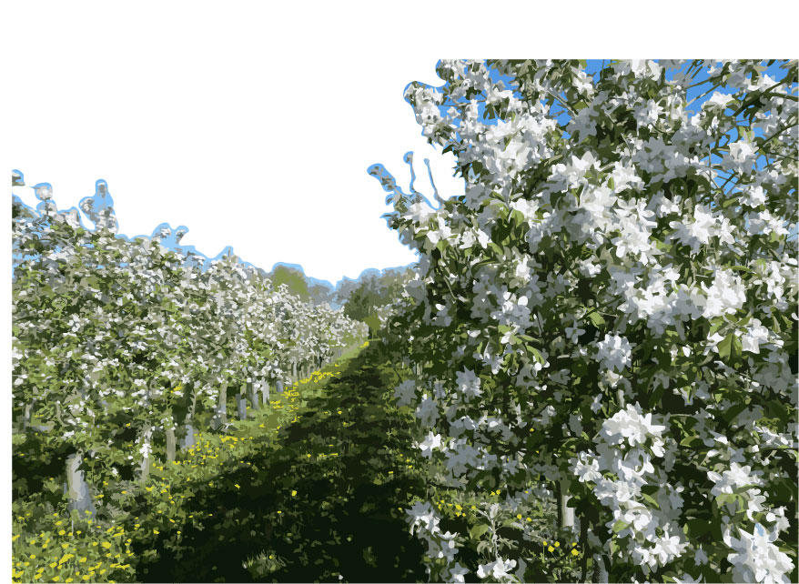 Arbre en fleur