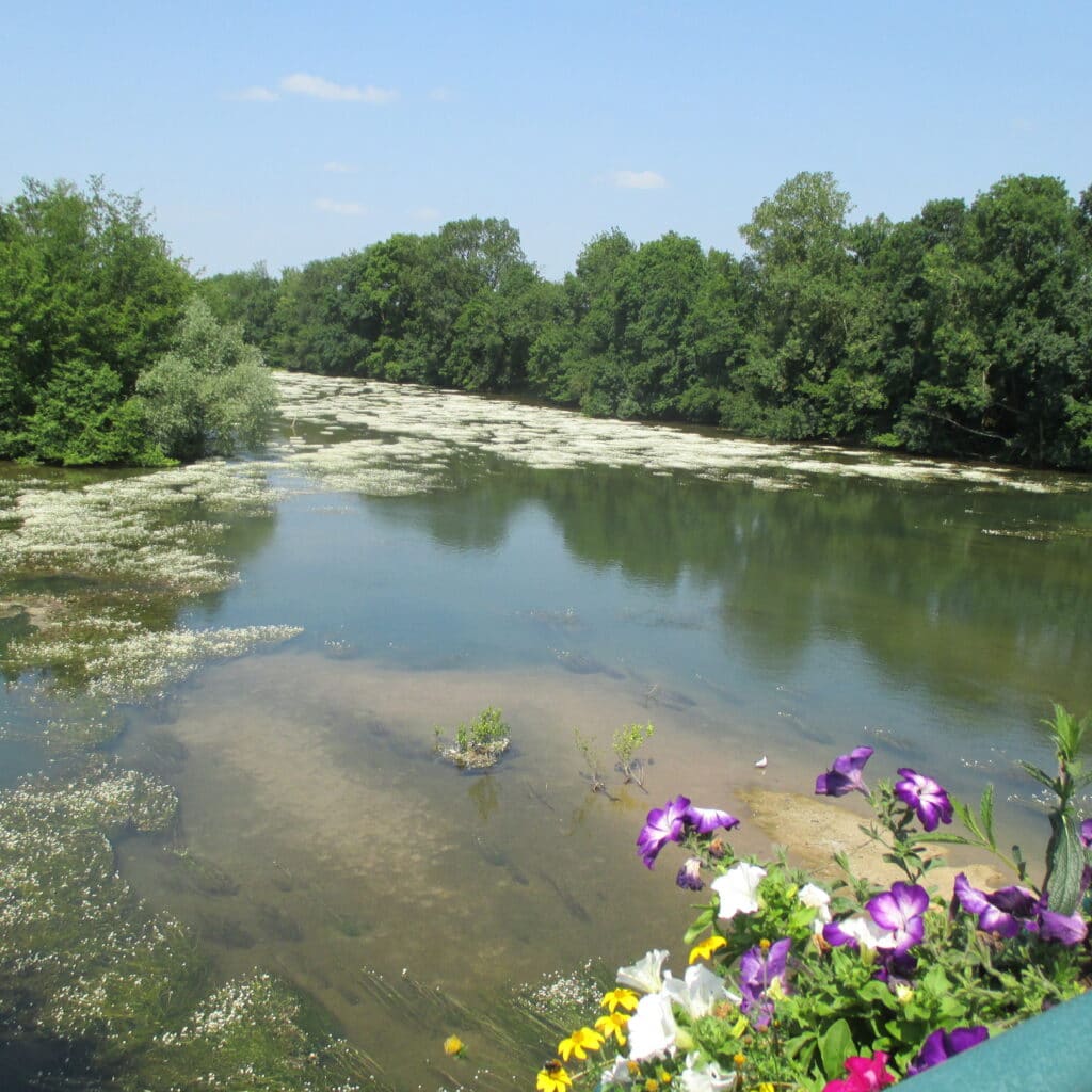 Le Loiret, vu du Pont Saint Nicolas